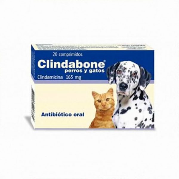 Clindabone Comprimido