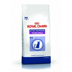 Royal Canin Feline Young Male 3,5 kg
